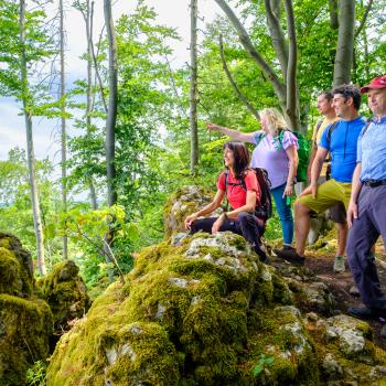 Die SevenSummits des Nürnberger Lands - Gipfelglück im Mittelgebirge - (c) Thomas Geiger