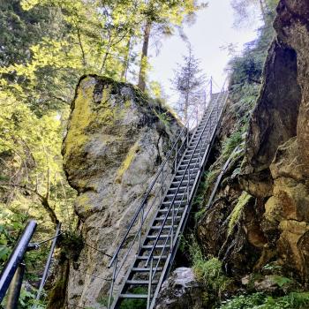 Der Alpinsteig Höll führt über Treppen... - (c) Christine Kroll