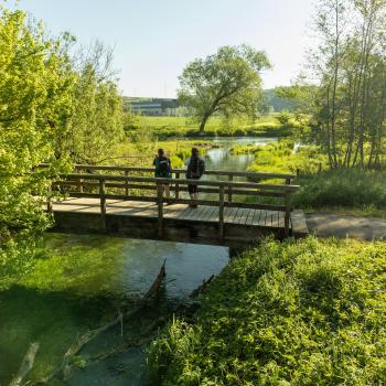 Die Brenz (Wandern durch Urzeit, Eiszeit und Kultur Der Albschäferweg auf der Schwäbischen Alb) - (c) Heiko Grandel