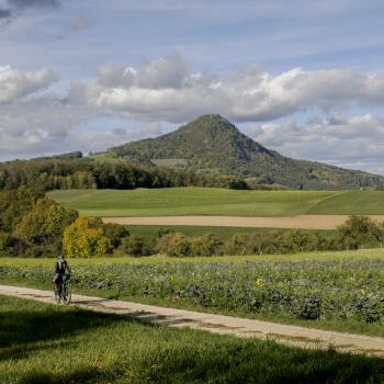 Naturerlebnisse am Westlichen Bodensee, rund um Konstanz. Ob zu Fuß, mit dem Fahrrad oder mit dem Kanu, die Natur kann man hier vielseitig erleben - (c) MTK/Marion Baumeister