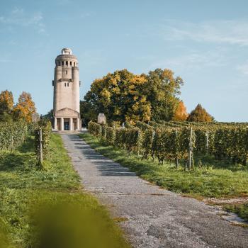 Naturerlebnisse am Westlichen Bodensee, rund um Konstanz. Ob zu Fuß, mit dem Fahrrad oder mit dem Kanu, die Natur kann man hier vielseitig erleben - (c) MTK/Christoph Partsch