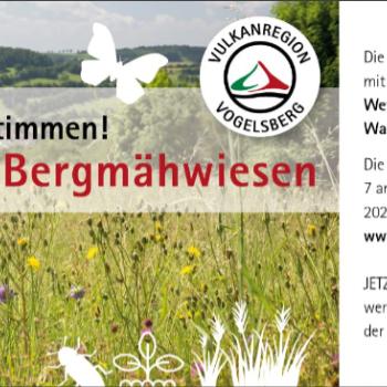 Naturwunder Bergmähwiese in der Vulkanregion Vogelsberg - (c) Vulkanregion Vogelsberg Tourismus