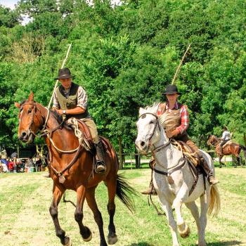 Betreut werden die Rinder von den berühmten Cowboys der Maremma, den Butteri - (c) Pixaby/Caponil