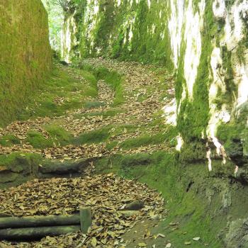 Die heutige Straße wurde erst nach dem 2. Weltkrieg gebaut, bis dahin führte der Weg nach Sorano durch uralte Hohlwege, die man noch heute erwandern kann - (c) Jörg Bornmann