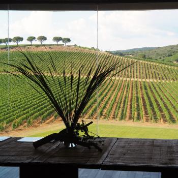 Das Weingut Petra ist unser nächstes Ziel. Die großzügigen Glasflächen lassen einen Blick auf die Landschaft der Maremma zu - (c) Jörg Bornmann