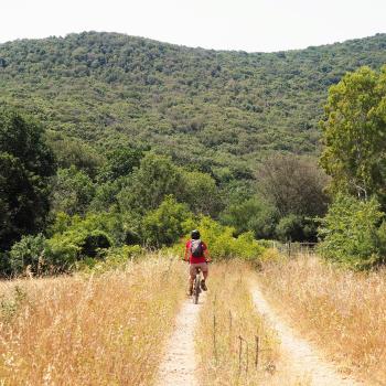 Mit dem Fahrrad geht es durch den Parco regionale della Maremma - (c) Jörg Bornmann