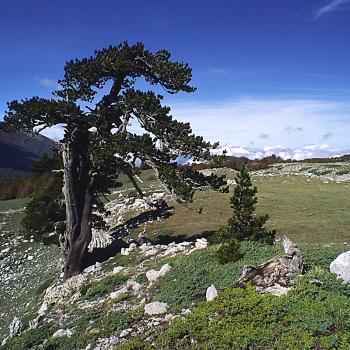 Die Basilikata in Süditalien ist ein ideales Ziel für Wanderurlauber - (c) Jörg Bornmann