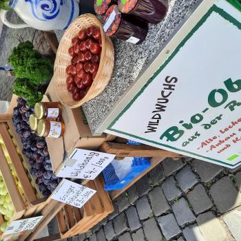 Wie nachhaltig geht es im Vogelsberg zu? Zum 8. Hessischen Tag der Nachhaltigkeit - (c) Stadt Lauterbach