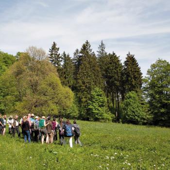 Wie nachhaltig geht es im Vogelsberg zu? Zum 8. Hessischen Tag der Nachhaltigkeit - (c) Christina Marx