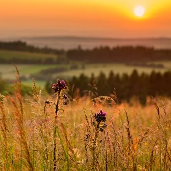 Wie nachhaltig geht es im Vogelsberg zu? Zum 8. Hessischen Tag der Nachhaltigkeit - (c) Christina Marx