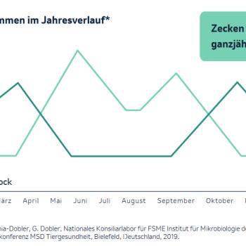 Zecken in Deutschland ganzjährig aktiv  Wer sich sicher vor den kleinen Spinnentieren schützen möchte, darf auf entsprechende Kleidung nicht verzichten - (c) MSD Tiergesundheit