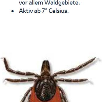 Zecken in Deutschland ganzjährig aktiv  Wer sich sicher vor den kleinen Spinnentieren schützen möchte, darf auf entsprechende Kleidung nicht verzichten - (c) MSD Tiergesundheit