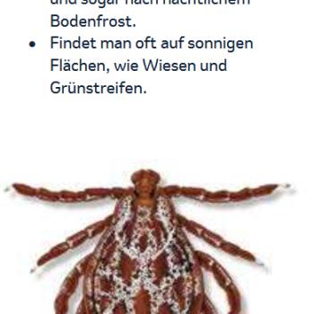 Zecken in Deutschland ganzjährig aktiv  Wer sich sicher vor den kleinen Spinnentieren schützen möchte, darf auf entsprechende Kleidung nicht verzichten - (c) MSD Tiergesundheit