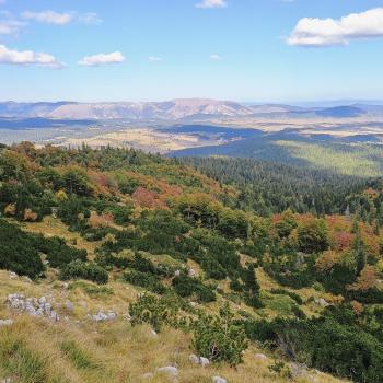 Die Wälder erstrahlen im September schon in schönen Herbstfarben - (c) Christine Kroll