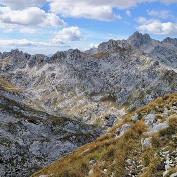 ...aus Feld und niedriger Vegetation... - (c) Christine Kroll