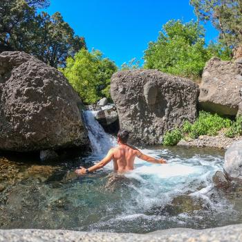 La Palma: Ein erstklassiges Biosphärenreservat 4000 Meter über dem Atlantik  - (c) BosqueLa Palma: Ein erstklassiges Biosphärenreservat 4000 Meter über dem Atlantik  - (c) David Rosario