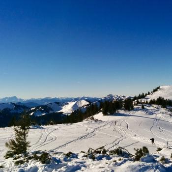 Die letzten MEter zum Hauptgipfel des Hirschbergs... - (c) Christine Kroll