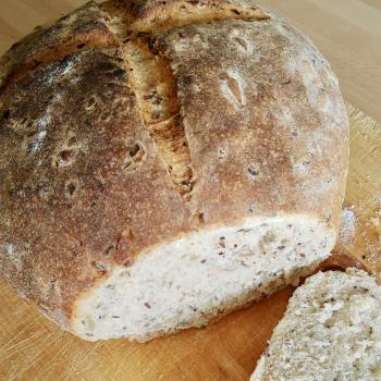 und ein Vollkornbrot sind der beste Proviant im Winter - (c) Christine Kroll