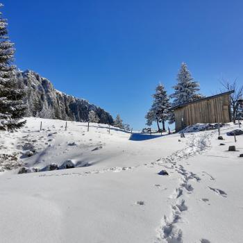 sind die Wege oft schon gespurt... - (c) Christine Kroll