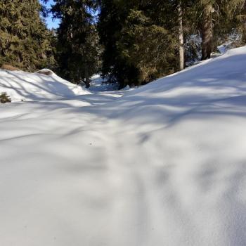 Manchmal muss man sich selbst den Weg durch den Neuschnee suchen - (c) Christine Kroll