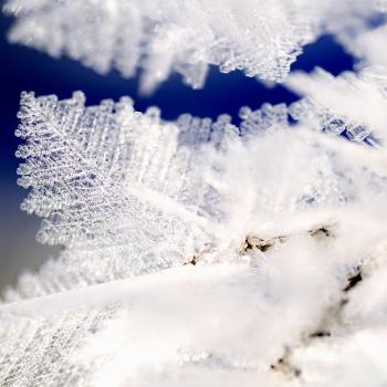Reit im Winkl - Winterwunderland für Fans der schmalen Brettl - (c) Norbert Eisele-Hein