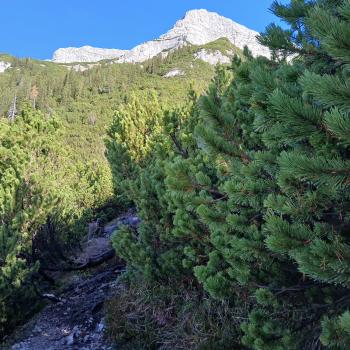 Gipfelglück, Trailspaß und Erholung im Bergsteigerdorf Steinberg am Rofan - (c) Susanne Wess