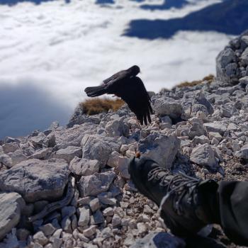 Gipfelglück, Trailspaß und Erholung im Bergsteigerdorf Steinberg am Rofan - (c) Susanne Wess