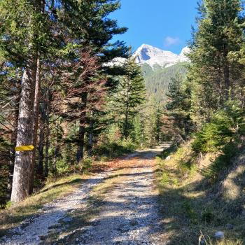 Gipfelglück, Trailspaß und Erholung im Bergsteigerdorf Steinberg am Rofan - (c) Susanne Wess