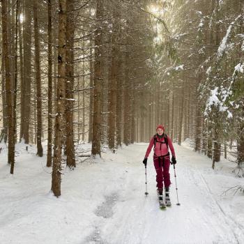 Die Skitour zum Juifen beginnt im tief verschneiten Winterwald - (c) Christine Kroll