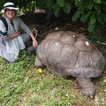 nsel Cousin: George, die lächelnde Riesenschildkröte mit der Autorin Sabine Ludwig - (c) Enric Boixadós