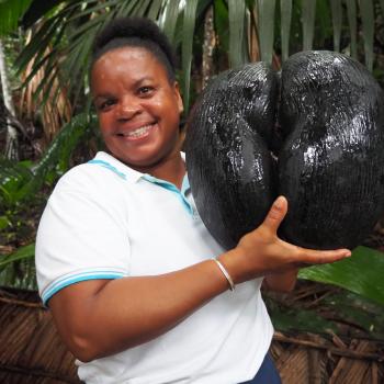 Park-Führerin Semanta im Vallée de Mai auf Praslin hält die seltene Coco de Mer in Händen - (c) Enric Boixadós