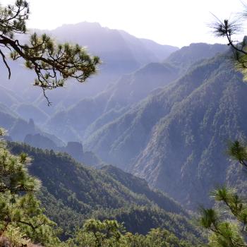 Im Herz der Insel sorgen die Passatwinde für mildes Klima und machen das Wandern zum reinsten Genuss - (c) Flora Jädicke