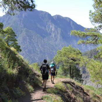 Im Herz der Insel sorgen die Passatwinde für mildes Klima und machen das Wandern zum reinsten Genuss - (c) Flora Jädicke