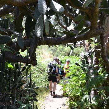 Im Herz der Insel sorgen die Passatwinde für mildes Klima und machen das Wandern zum reinsten Genuss - (c) Flora Jädicke
