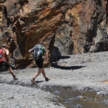 Im Herz der Insel sorgen die Passatwinde für mildes Klima und machen das Wandern zum reinsten Genuss - (c) Flora Jädicke