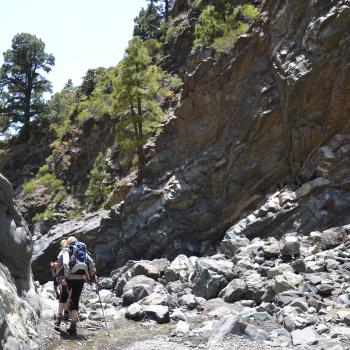 Im Herz der Insel sorgen die Passatwinde für mildes Klima und machen das Wandern zum reinsten Genuss - (c) Flora Jädicke