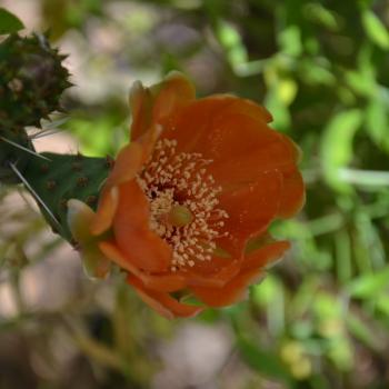 Im Herz der Insel sorgen die Passatwinde für mildes Klima und machen das Wandern zum reinsten Genuss - (c) Flora Jädicke