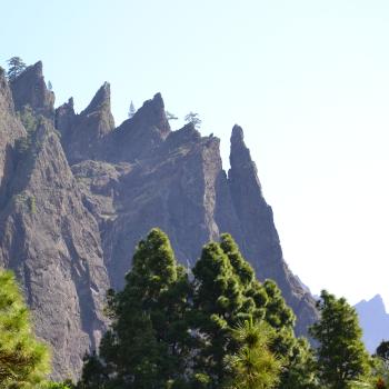 Im Herz der Insel sorgen die Passatwinde für mildes Klima und machen das Wandern zum reinsten Genuss - (c) Flora Jädicke