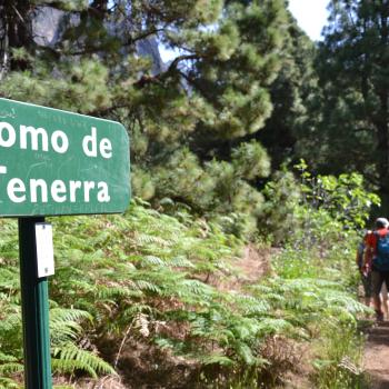 Im Herz der Insel sorgen die Passatwinde für mildes Klima und machen das Wandern zum reinsten Genuss - (c) Flora Jädicke