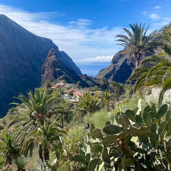 Teneriffa –  Längst ist die größte Kanareninsel ein Dorado für Genusswanderer wie für ambitionierte Bergwanderer - (c) Elke Homburg