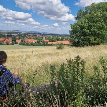 Auf dem Harzer Klosterweg - (c) Alexa Christ