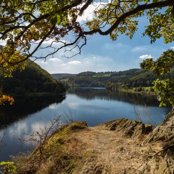 Wo stille Buchten auf steile Uferhänge treffen, wird der Obersee der Rurtalsperre zum „Amazonas der Eifel“ - (c) Frank Wiesen