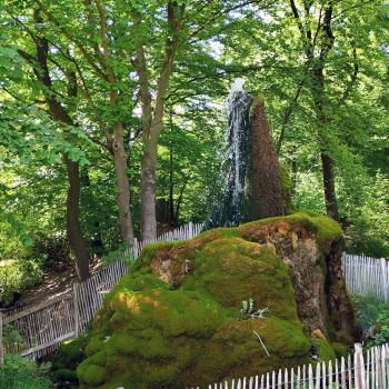 Der Wasserbaum bei Ockensen macht das Zusammenspiel von Wasser, Gestein und Leben eindrucksvoll sichtbar