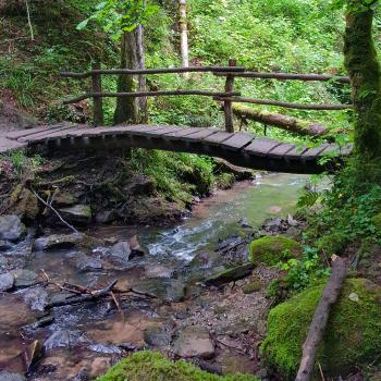 Magie der drei Schluchten - Ein wahres Wandermärchen im Naturpark Schwäbisch-Fränkischer Wald - (c) Evelyn und Ralph Scheer