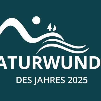 Ab sofort besteht die Möglichkeit, online für einen der neun ausgewählten Naturschauplätze abzustimmen