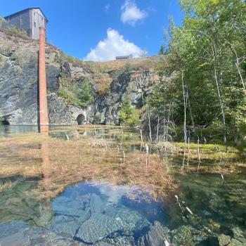 Am ehemaligen Staatsbruch bei Lehesten zeigt sich beispielhaft, wie sich Industrieareale in artenreiche Sekundärlandschaften verwandeln können - (c) Gunter Werrmann