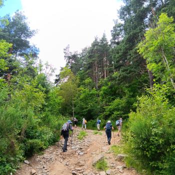 Mit Eselsgeduld bergauf-bergab - der „Chemin Stevenson“ gilt als einer der schönsten Fernwanderwege Frankreichs - (c) Klaus Pfenning