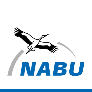 Amsel, Rebhuhn, Schleiereule, Waldohreule und Zwertaucher stehen zur Wahl zum Vogel des Jahres 2026 - (c) NABU