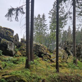 Lochstein, Brandfelsen, Katzenstein, Lohbergfelsen oder Pfaffenstein: Das sächsische Vogtland ist reich an allerlei bizarren Felsformationen - (c) Alexa Christ