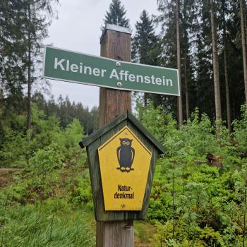 Lochstein, Brandfelsen, Katzenstein, Lohbergfelsen oder Pfaffenstein: Das sächsische Vogtland ist reich an allerlei bizarren Felsformationen - (c) Alexa Christ